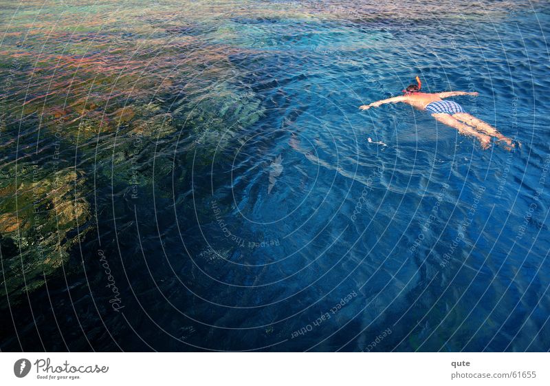 Flying water man snorkelling diving sea deep coral egypt