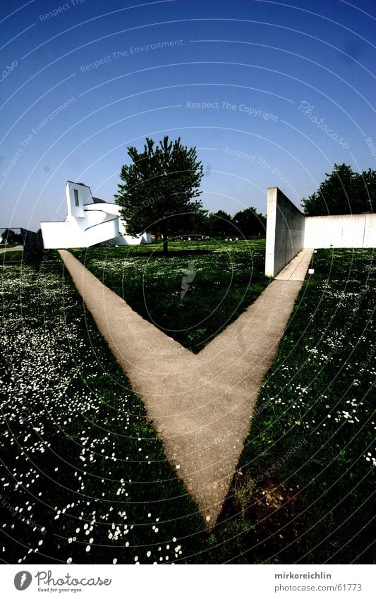 Ein Rätsel Wiese Blume Gänseblümchen Haus weiß lang Weitwinkel Wege & Pfade Spitze spitzig Himmel gänseblümlein Ecke eck canon bigway Ferne Architektur