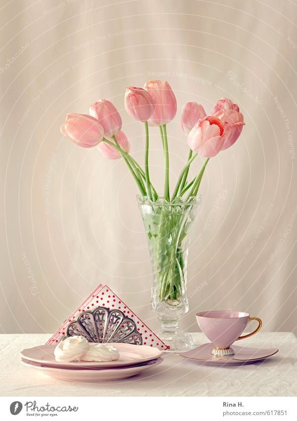 TeaTime Teigwaren Backwaren Teller Tasse Blume Tulpe Blühend hell lecker süß rosa Teetrinken Baiser Serviette Vase Blumenstrauß Stillleben Farbfoto