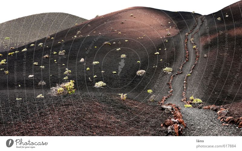 auf dem Weg Umwelt Natur Landschaft Pflanze Urelemente Erde Sträucher Wildpflanze Berge u. Gebirge Vulkan Stein wandern außergewöhnlich dunkel fantastisch