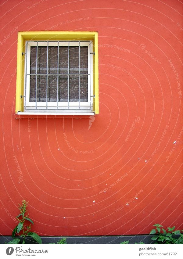 rote hauswand Wand Fenster Mauer gelb Einblick Aussicht Gras grün Hintergrundbild mehrfarbig Gitter geschlossen Stein streichen Farbe