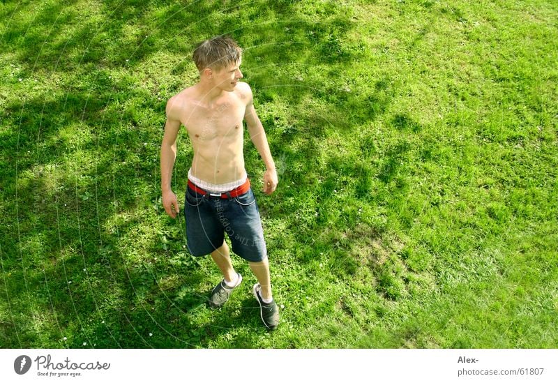 Was die Zukunft bringt ... Mann klein Oberkörper Hose stehen Wiese Gras Sommer Physik Körperhaltung Junge boy oben Perspektive Garten Wärme