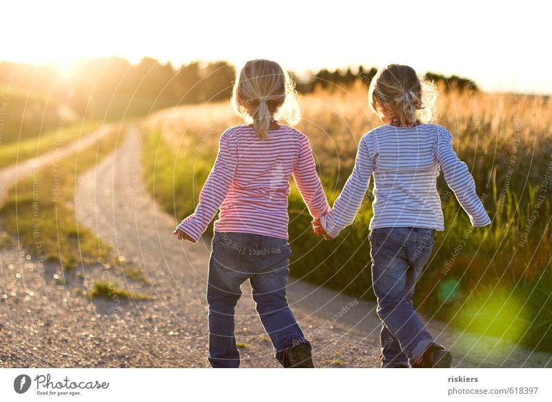 back to summer feminin Kind Mädchen Geschwister Kindheit 2 Mensch 3-8 Jahre Umwelt Natur Landschaft Sommer Schönes Wetter Feld entdecken Erholung festhalten