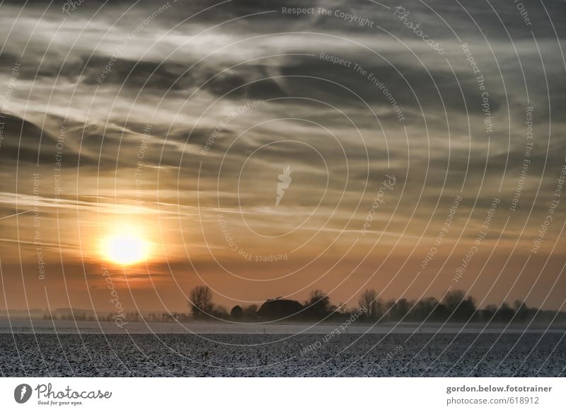 Wintersonne Natur Landschaft Erde Himmel Wolken Sonne Sonnenaufgang Sonnenuntergang Sonnenlicht Eis Frost Feld Dorf Unendlichkeit kalt gelb gold grau Farbfoto