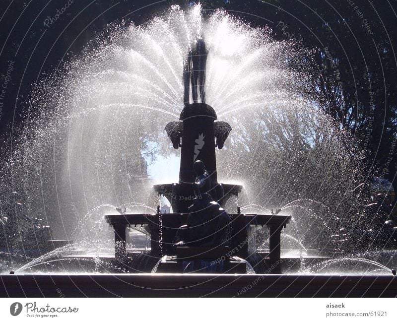 "sprinkle" Springbrunnen Sydney Wasser