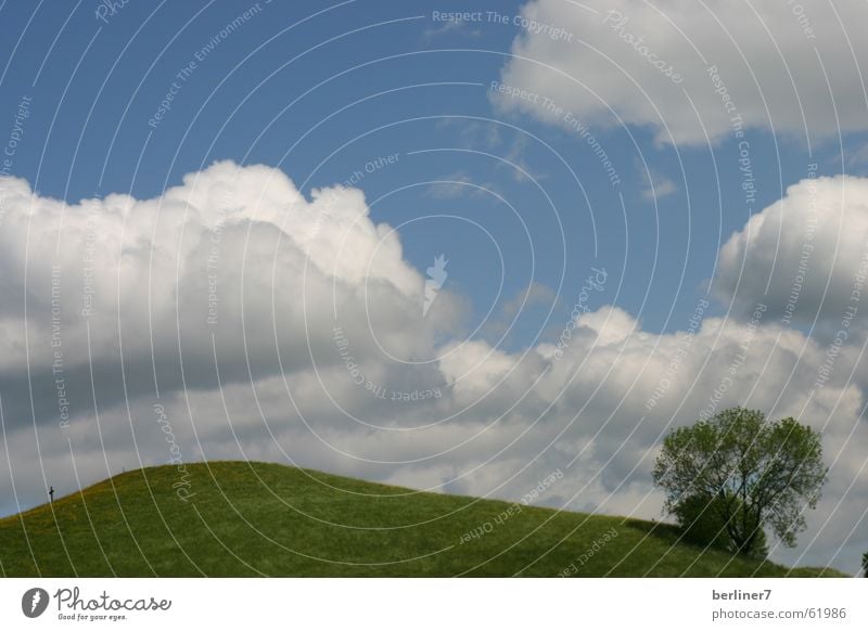 Wolken wie Watte Hügel Wiese grün Baum himmelblau Frühling Berge u. Gebirge Himmel