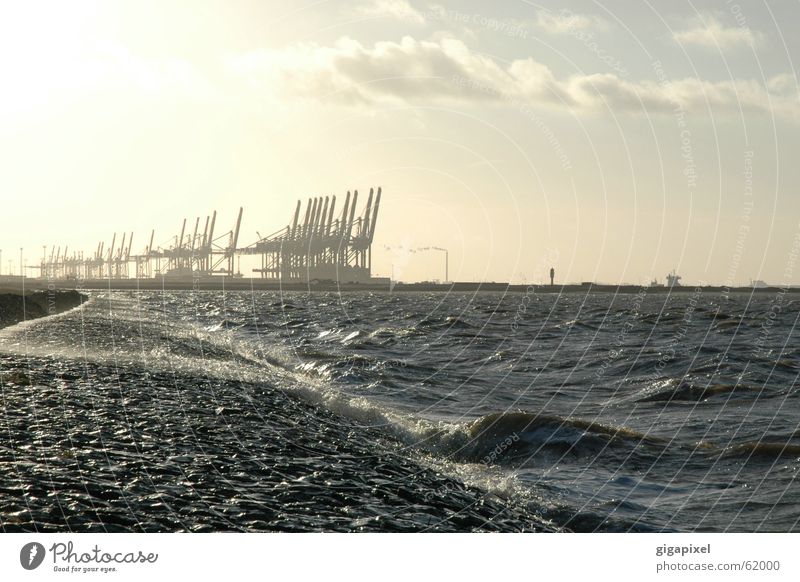 Roboter-Angeln? Kran Weser Bremerhaven Container Wasser küste norddeutschland