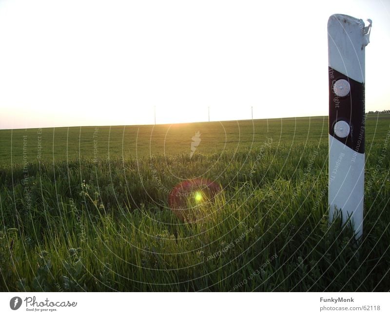 Abseits des Weges Sonnenuntergang Leitpfosten Straßenrand Wiese einzeln Wege & Pfade Freiheit Natur