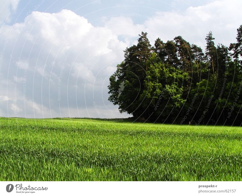 Bayrische Landschaft Wiese Feld Waldrand grün Ferne Wolkenhimmel weiß weiß-blau dunkel Himmel hell