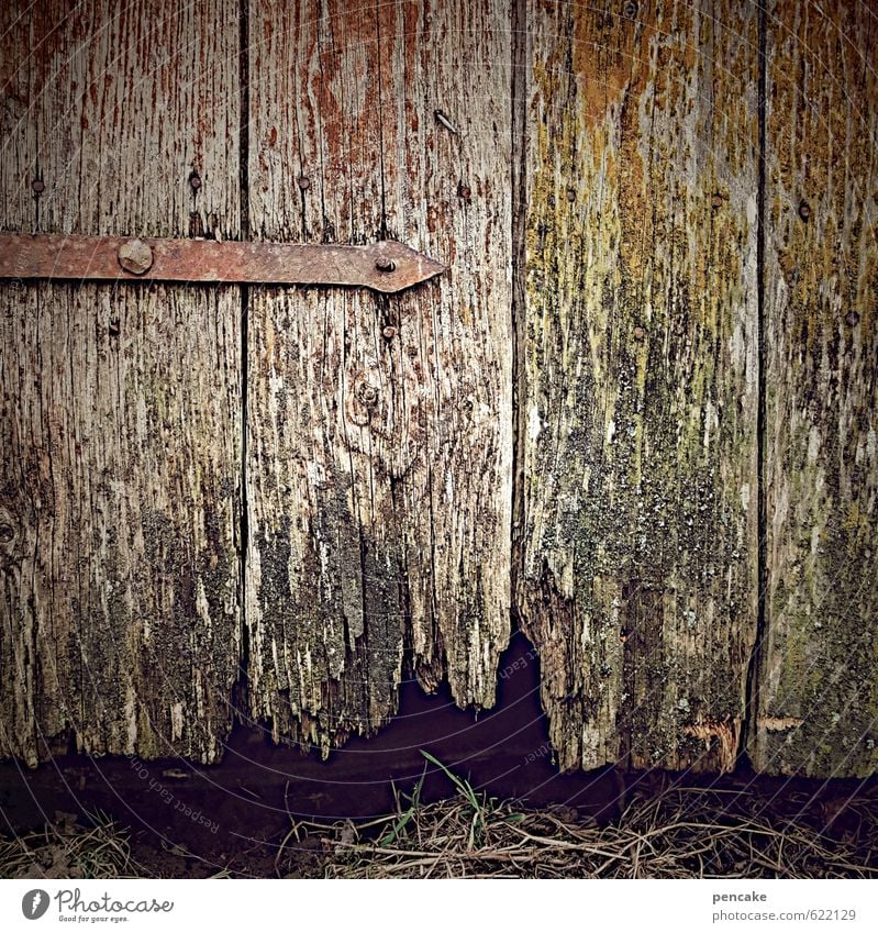 zerfallsdatum überschritten Natur Urelemente Erde Gras Hütte Tür Zeichen Armut authentisch dreckig einfach hässlich einzigartig kaputt Originalität wild