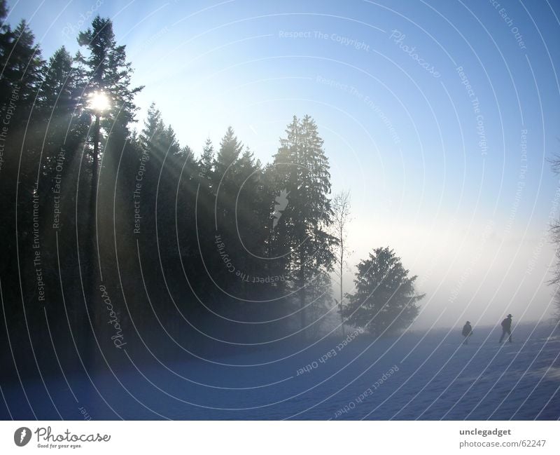 Aus dem Nebel... Wald Tanne Sonnenstrahlen Strahlung anstrengen Schweiz Schneelandschaft Baum wandern Winter Kraft pfannenstiel Zürich flare blau