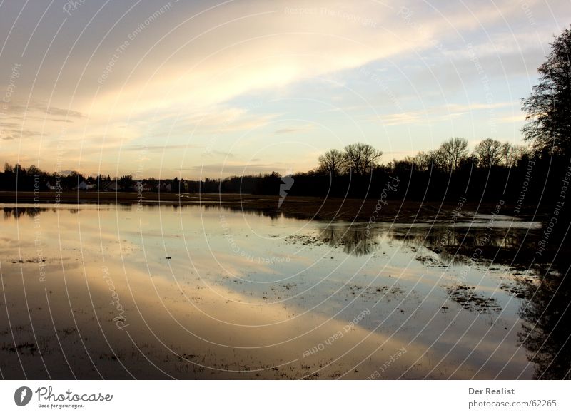 Surreal See Wolken Baum Reflexion & Spiegelung Sonnenuntergang schön Gefühle Denken Licht Blatt Meer Europa Spiegelbild Wasseroberfläche grün Abend nass