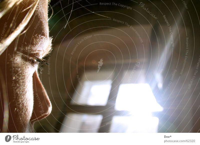 blinsel Frau Fenster Sonnenstrahlen Sommer Zukunft Mensch gegenlich Nase Gesicht Haare & Frisuren Auge in die sonne schauen blinseln Himmel offenes fenster