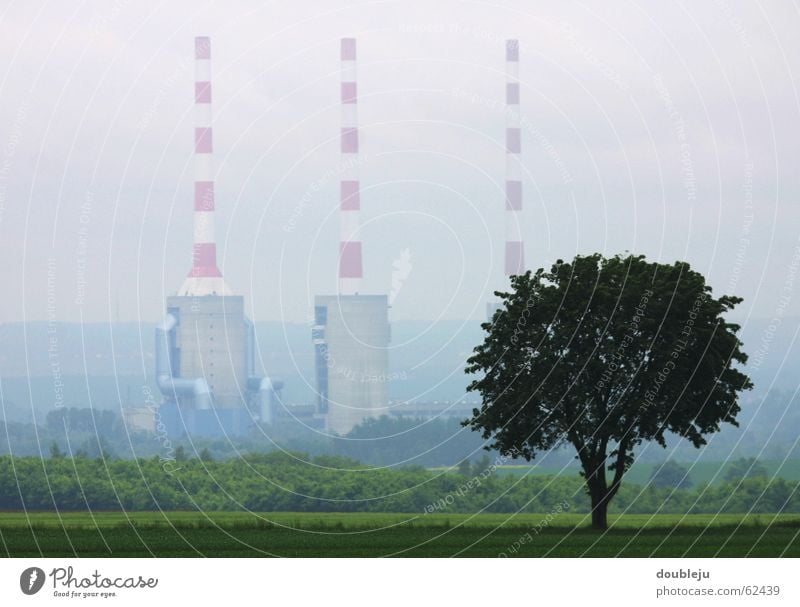 industrie gewächs Fabrik Baum trüb Industriefotografie Schornstein bedecken