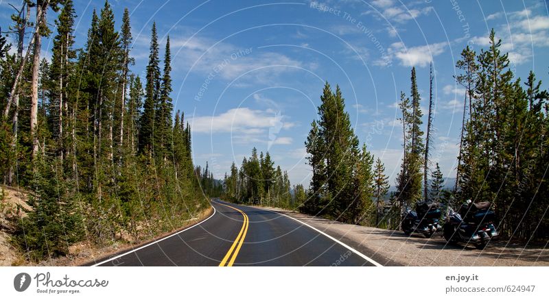 on the road Lifestyle Freude Motorradfahren Ferien & Urlaub & Reisen Ausflug Freiheit Baum Wald Verkehrswege Straße blau grün Lebensfreude Fernweh Abenteuer