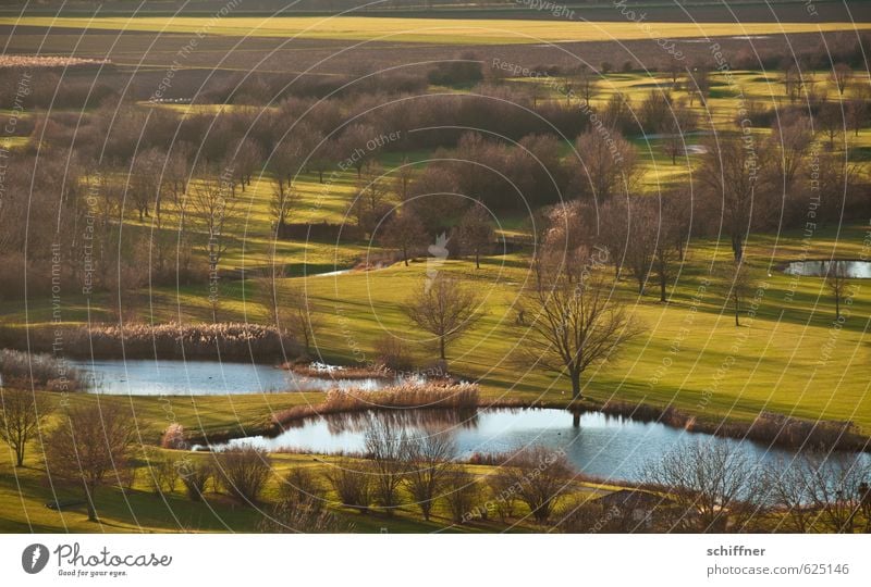 Golfer Umwelt Natur Landschaft Pflanze Winter Schönes Wetter Baum Gras Sträucher Park Wiese Wald Teich See ästhetisch Golfplatz einlochen Feld Schilfrohr