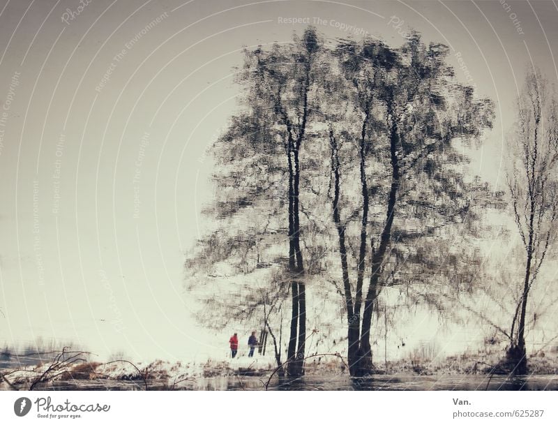 Wasserpflanzen Mensch 2 Natur Wolkenloser Himmel Pflanze Baum Wellen Flussufer dunkel kalt klein Farbfoto Gedeckte Farben Außenaufnahme Textfreiraum links