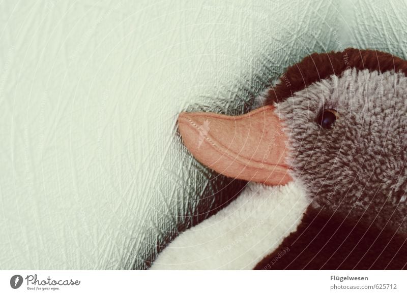 Sei nicht traurig Tier Ente Gans Plüsch Stofftiere Spielen Kindergarten Spielzeug Kuscheln Teddybär Traurigkeit Sorge Missbrauch missbrauchen Platzangst