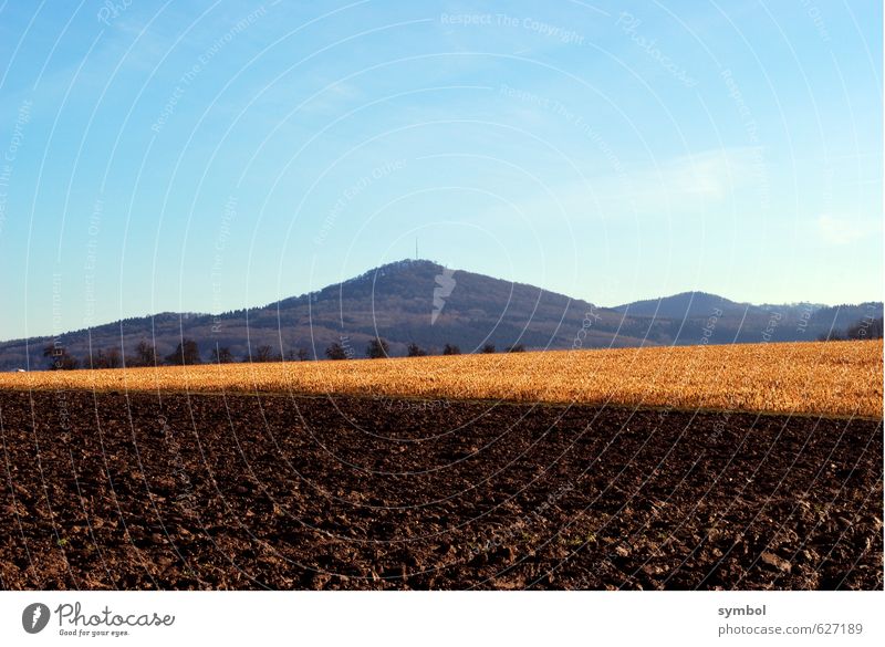 Erntezeit Umwelt Natur Landschaft Pflanze Urelemente Erde Himmel Schönes Wetter Nutzpflanze Feld Berge u. Gebirge ästhetisch blau braun gold Zufriedenheit