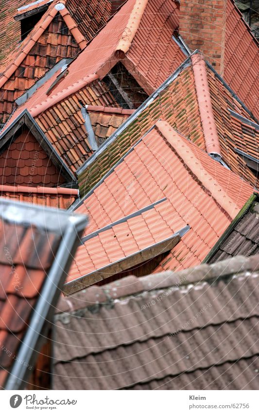 Dächer Quedlinburg Dorf Stadt Altstadt Menschenleer Haus Gebäude Architektur Dach Sehenswürdigkeit Denkmal Weltkulturerbe rot Dachziegel Sachsen-Anhalt