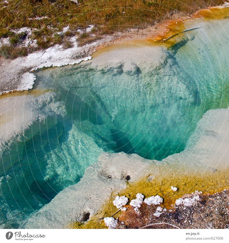 Seismograph Pool Ferien & Urlaub & Reisen Abenteuer Natur Landschaft Urelemente Wasser Gras Vulkan Heisse Quellen Nationalpark außergewöhnlich Flüssigkeit heiß