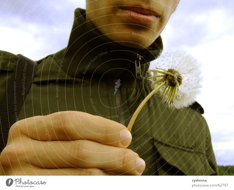 Pustefix Hand blasen Mann Lippen Löwenzahn Frühling Leichtigkeit wandern loslassen Pflanze Porträt Sicherheit gefährlich filigran zierlich Blüte Mensch schön