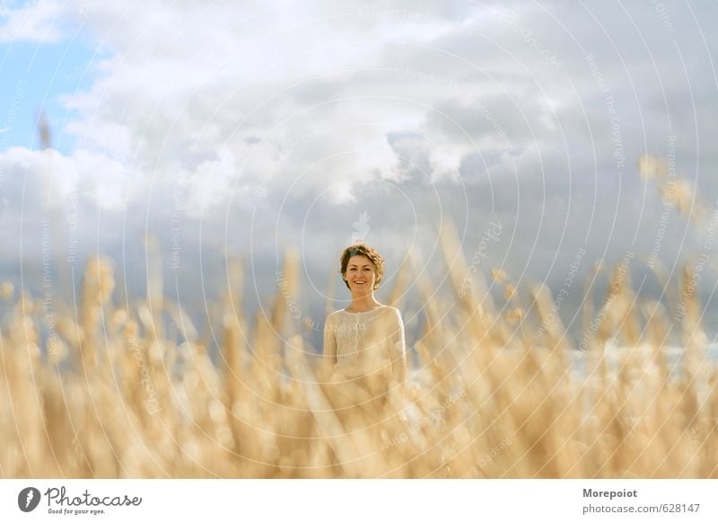 Himmel feminin Junge Frau Jugendliche Erwachsene 1 Mensch 18-30 Jahre Umwelt Natur Landschaft Pflanze Wolkenloser Himmel Sonne Herbst Schönes Wetter Feld