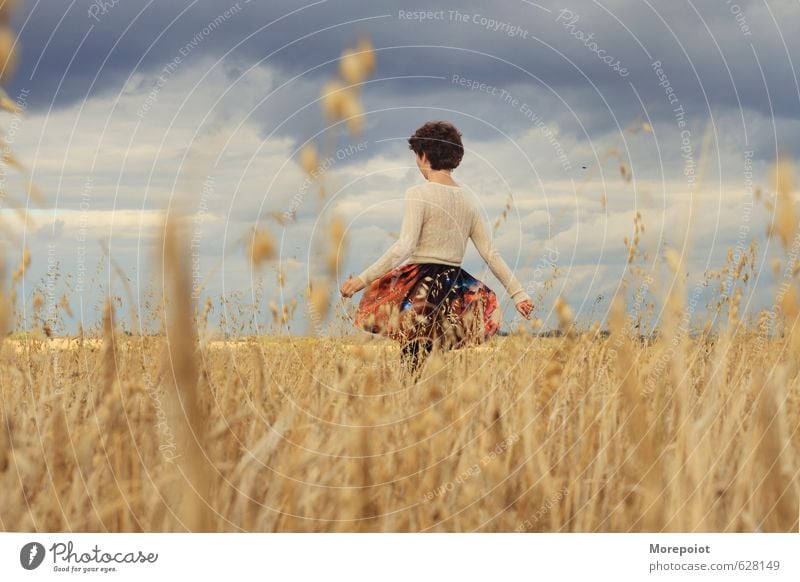 tanzen Freiheit feminin Junge Frau Jugendliche Erwachsene Körper 1 Mensch 18-30 Jahre Umwelt Natur Landschaft Pflanze Himmel Herbst Feld Rock Pullover brünett