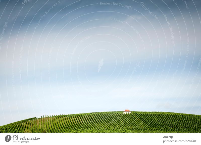 Haus Weinbau ländlich Landwirtschaft Natur Landschaft Pflanze Himmel Sommer Schönes Wetter Weinberg Hügel Hütte schön Einsamkeit genießen Idylle Kaiserstuhl 1