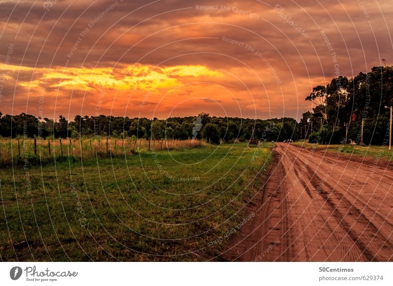 Strasse im Abendrot Ferien & Urlaub & Reisen Ausflug Abenteuer Ferne Natur Landschaft Wolken Gewitterwolken Klima Schönes Wetter schlechtes Wetter Sturm Wiese