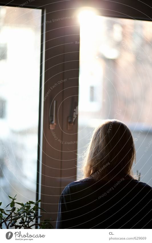 morgähn Häusliches Leben Wohnung Raum Mensch feminin Frau Erwachsene Kopf 1 30-45 Jahre Sonne Schönes Wetter Fenster ruhig Neugier Hoffnung Traurigkeit