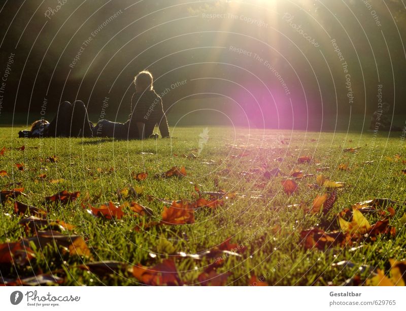 Spätsommer Junge Frau Jugendliche Junger Mann Freundschaft Erwachsene 2 Mensch 18-30 Jahre Landschaft Sonnenlicht Sommer Herbst Schönes Wetter Blatt Park Wiese