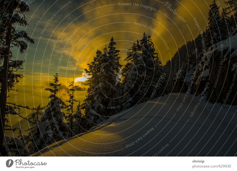 leicht berührt Umwelt Natur Landschaft Himmel Wolken Sonne Sonnenaufgang Sonnenuntergang Sonnenlicht Winter Wetter Schönes Wetter schlechtes Wetter Schnee Baum