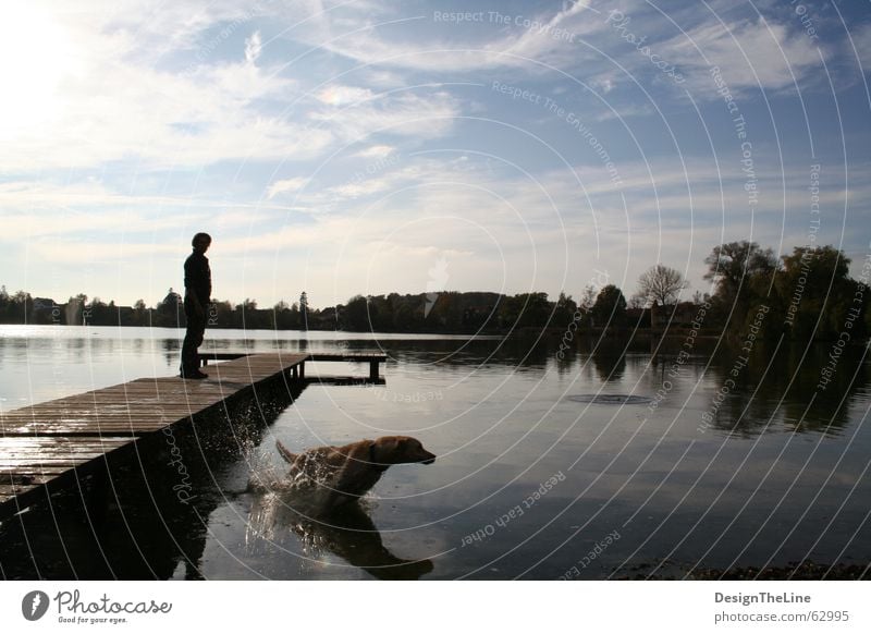 Tag am See mit Hund Silhouette Steg Aktion springen anonym Freizeit & Hobby Erholung Holz nass Physik Sonne Wolken weiß Bayern Ferne Ferien & Urlaub & Reisen