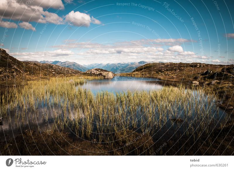 Bis zum Horizont Ausflug Ferne Freiheit Sommer Sonne Berge u. Gebirge Natur Landschaft Pflanze Urelemente Erde Wasser Himmel Wolken Sonnenlicht Schönes Wetter