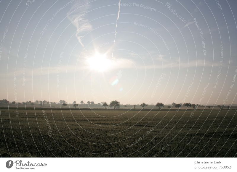 Landschaft Nebel Feld Gras Baum Natur Sonne Morgen Ferne