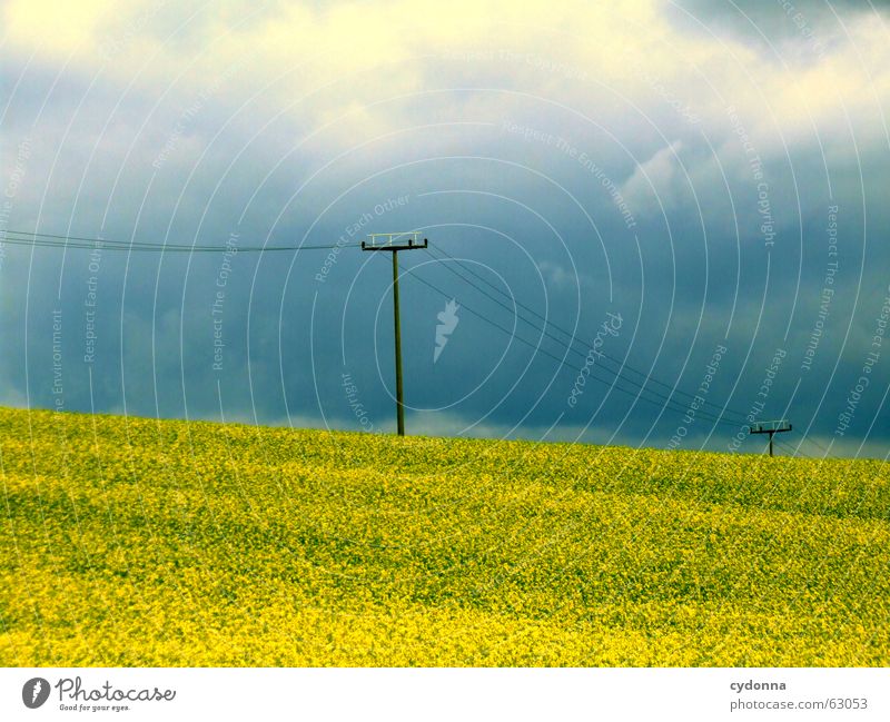 Da kommt was auf uns zu... Sommer dunkel Raps Rapsfeld Blume Landwirtschaft Wolken schlechtes Wetter Elektrizität Leitung Hoffnung Erwartung unheimlich unbequem