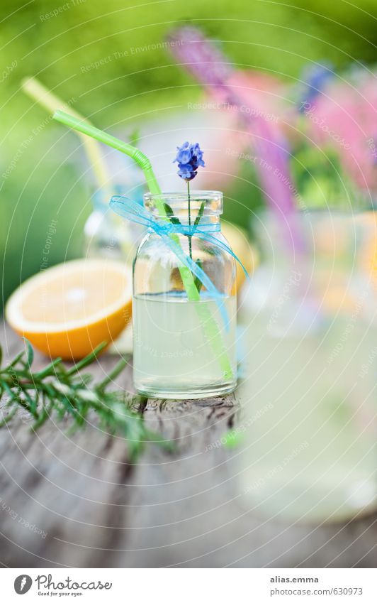 spring.break Lebensmittel Picknick Getränk Erfrischungsgetränk Limonade Saft Flasche Lifestyle Gesunde Ernährung Erholung Garten Feste & Feiern Frühling Sommer