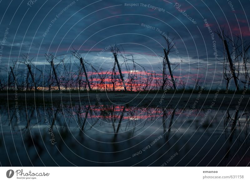 Rebengerippe Natur Landschaft Wasser Himmel Wolken Sonnenaufgang Sonnenuntergang Winter Klima Wetter schlechtes Wetter Unwetter Pflanze Sträucher Nutzpflanze