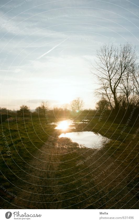 Pfützenbild Umwelt Natur Landschaft Erde Wasser Himmel Sonne Sonnenaufgang Sonnenuntergang Sonnenlicht Baum Wiese Feld Wege & Pfade Fußweg natürlich ländlich