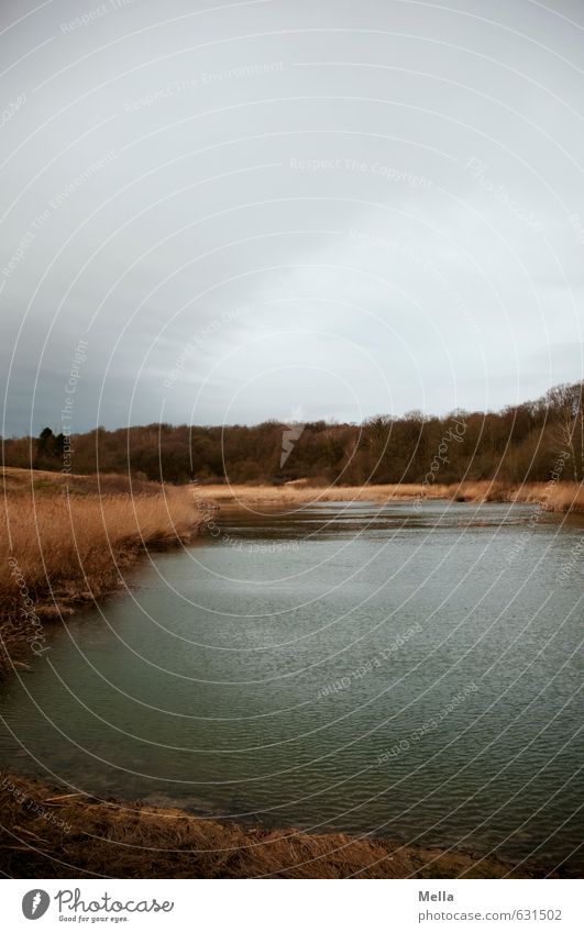 Geheimsee Umwelt Natur Landschaft Wasser Himmel Wolken schlechtes Wetter Seeufer Teich dunkel natürlich trist grau Einsamkeit ruhig Menschenleer trüb Farbfoto