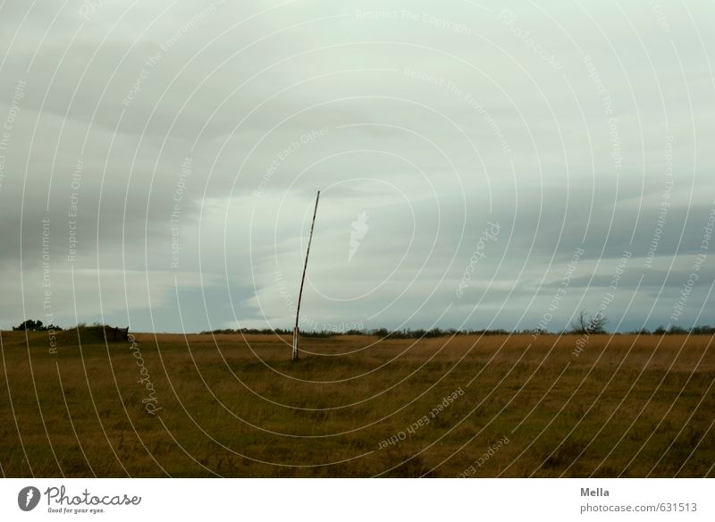 Grenzöffnung Umwelt Natur Landschaft Erde Himmel Wolken schlechtes Wetter Wiese Schranke frei trist grau Freiheit Überwachung Verfall Vergangenheit