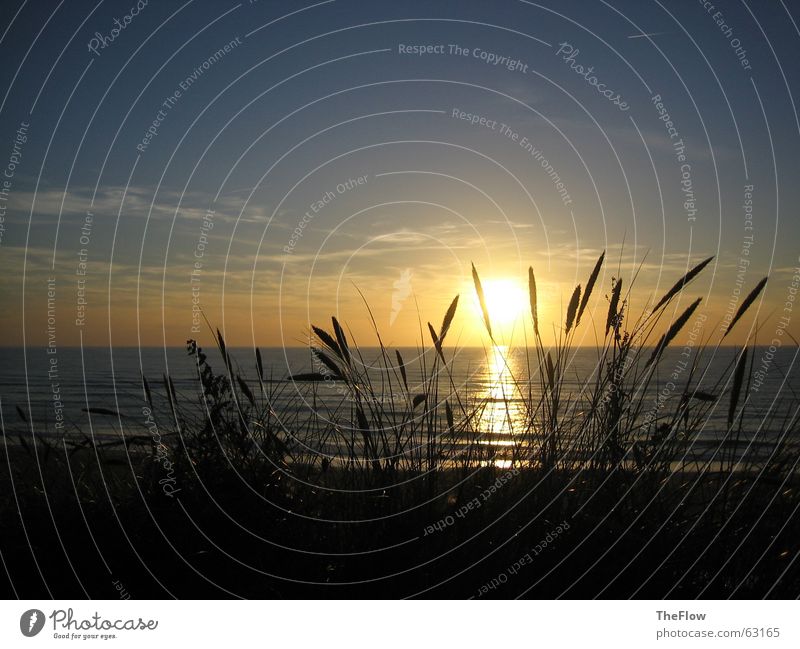 Abends am Meer dunkel Strand Gras Wolken Sonnenuntergang Wellen Sylt schwarz grün Wasser Himmel Wind water blau