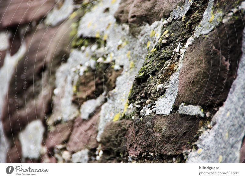 Stone Cold Mauer Wand Fassade Stein Sand alt trocken braun grau schwarz weiß Mittelalter Moos verwittert Farbfoto Außenaufnahme Detailaufnahme Menschenleer Tag