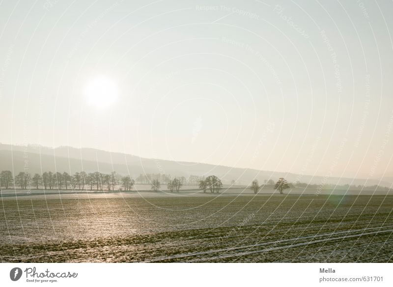 Atmen Umwelt Natur Landschaft Luft Himmel Wolkenloser Himmel Sonne Sonnenlicht Winter Schönes Wetter Feld Hügel hell kalt natürlich ruhig Ferne leer glänzend