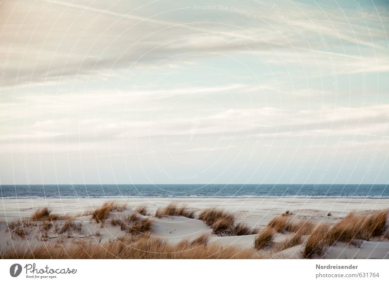 Ein Abend am Meer Sinnesorgane Erholung ruhig Sommer Sommerurlaub Strand wandern Landschaft Wasser Himmel Schönes Wetter Gras Nordsee exotisch frisch Sauberkeit