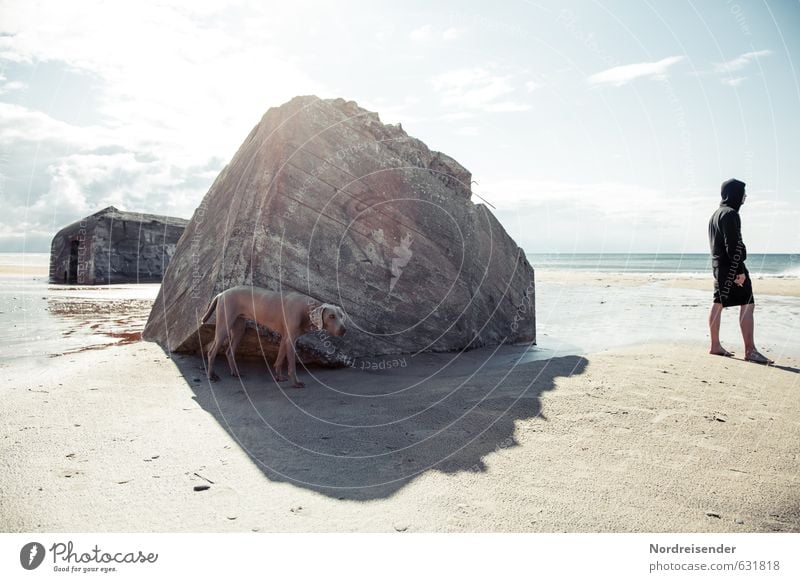 Rumstehen Sonne Sonnenbad Strand Meer Mensch Mann Erwachsene Sonnenlicht Sommer Klimawandel Schönes Wetter Nordsee Ruine Bauwerk Architektur Tier Hund Sand