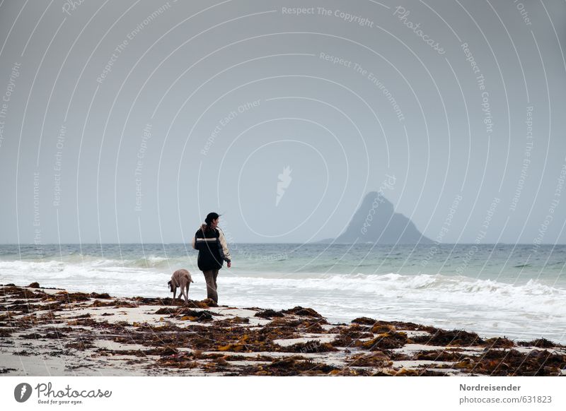 Frau mit Hund am Meer Sinnesorgane Erholung ruhig Ferien & Urlaub & Reisen Ausflug Abenteuer Ferne Freiheit Strand Insel Wellen Mensch Erwachsene Urelemente