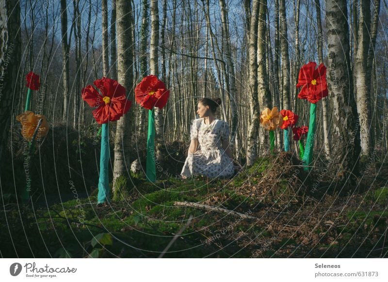 Frühlingsbote Mensch feminin Frau Erwachsene 1 Umwelt Natur Landschaft Pflanze Himmel Sommer Schönes Wetter Baum Blume Moos Blüte Birke Birkenwald Wald Kleid