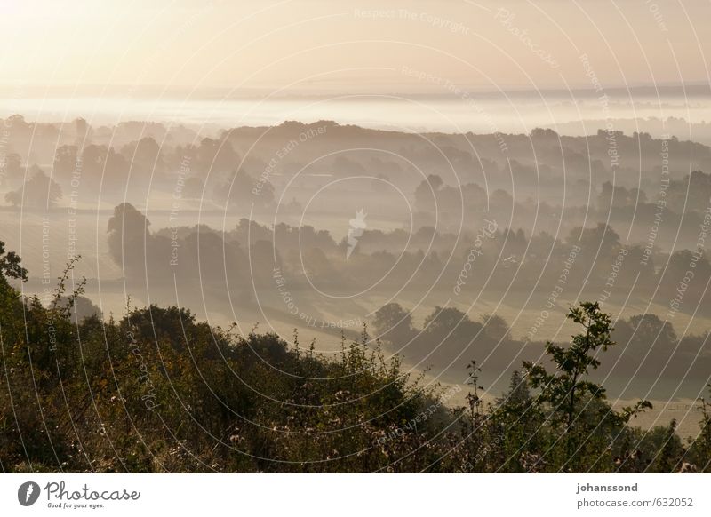 Morgendämmerung Natur Landschaft Pflanze Sonnenaufgang Sonnenuntergang Herbst Nebel Baum Sträucher Feld Wald außergewöhnlich Freundlichkeit frisch Wärme braun